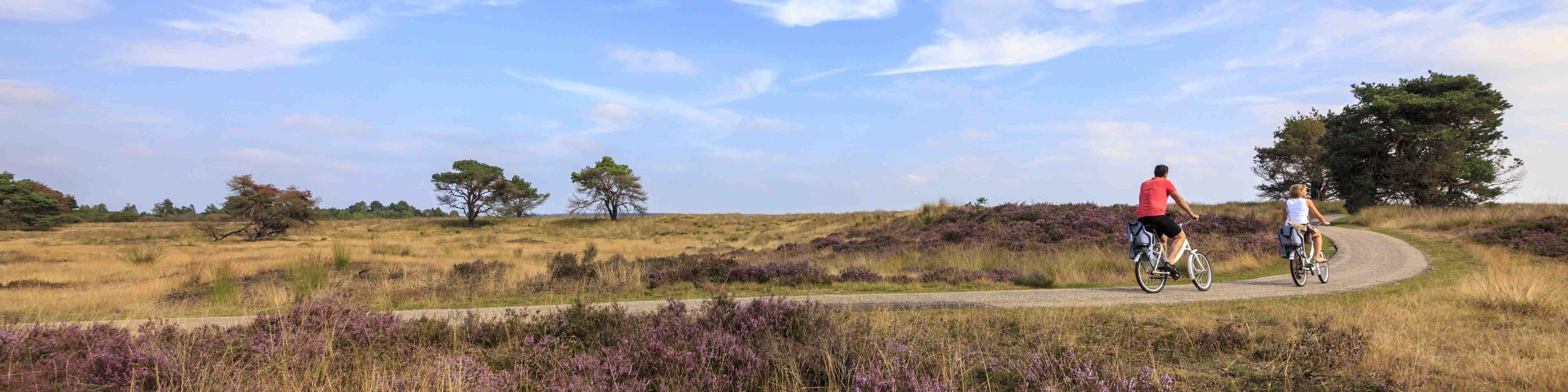 Discover the Veluwe